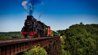South Shore Line by Kathleen E. Miller