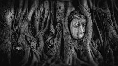 Poetry: Killing the Buddha by Bob Callaci